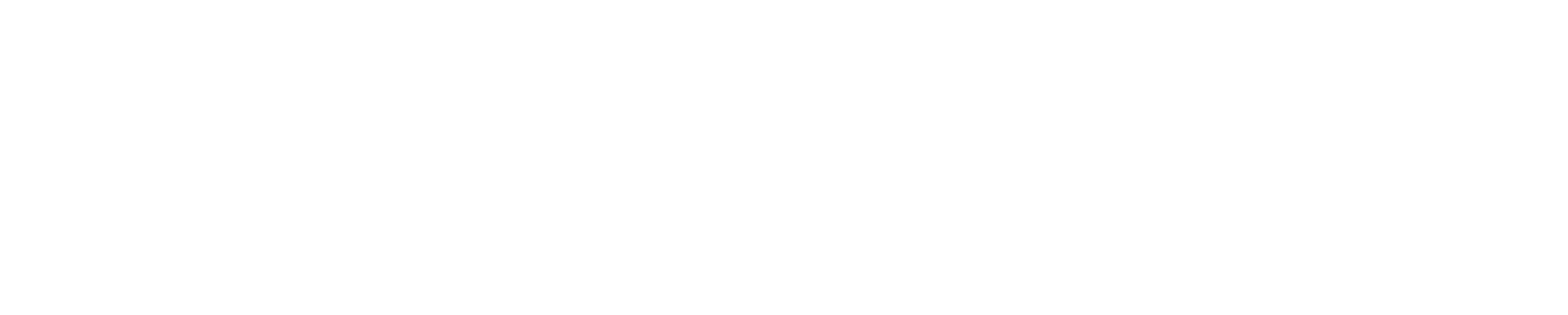 PERCEPTO_LOGO_SECONDARY_White-1